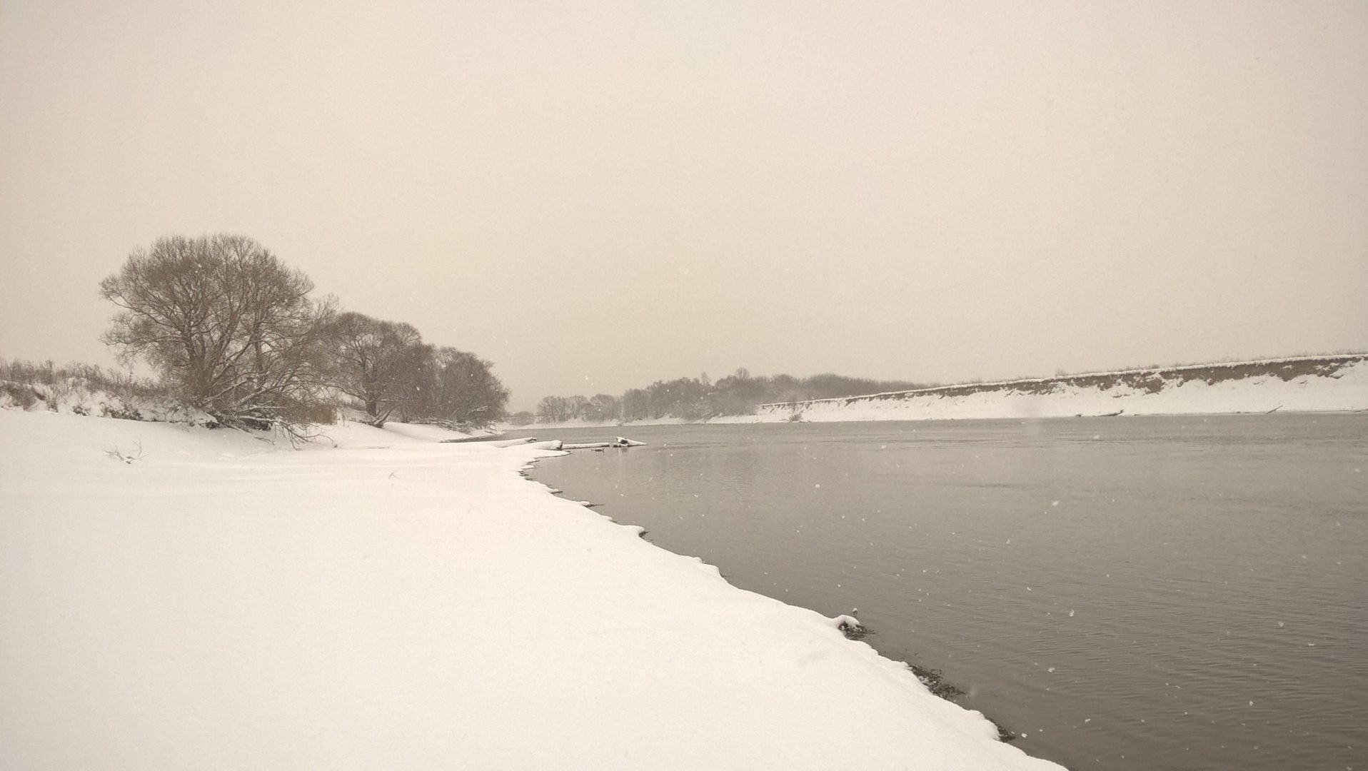 Фото зимнего берега Москвы-реки в районе Кулаково